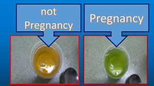 homemade pregnancy test pregnancy