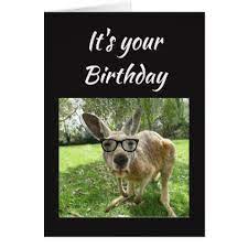 Birthday Fun Kangaroo Australia Animal Art Card Zazzle Com Australia Animals Australian Animals Cool Pets