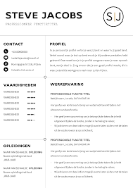 Cv Voorbeeld 34