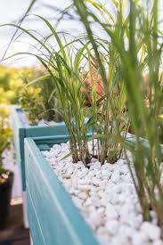 Diy Pflanzkubel Als Sichtschutz Fur Den Balkon Leelah Loves Pflanzen Pflanzkubel Blumenkasten Balkon