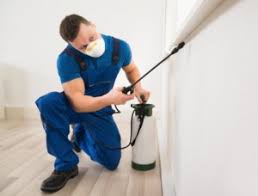 Does your building inspection include a termite and pest inspection we provide a building and pest inspection report. 5 Ways To Negotiate Price Using A Building And Pest Inspection