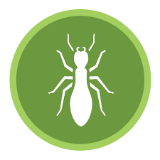 Request your free inspection today! Termite Control Green Pest Control With Green Pest Guys