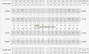Perio Charting Form Printable Bedowntowndaytona Com