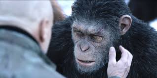 Koba comes across a human and her baby. Kinostart Von Planet Der Affen Survival Augenblicke Des Staunens Taz De