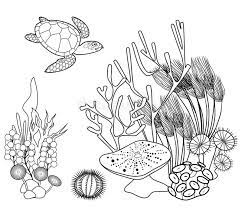 The various tones of the color coral are representations of the colors of those cnidarians known as precious corals. Coral Reef Coloring Page Stock Illustrations 783 Coral Reef Coloring Page Stock Illustrations Vectors Clipart Dreamstime