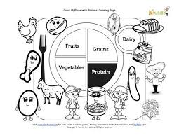 Food and nutrition theme preschool songs and printables tips. Printable Myplate Protein Coloring Sheet Kids Nutrition Coloring Pages My Plate
