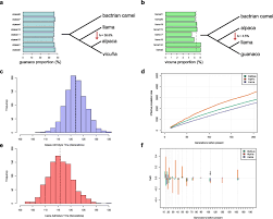 Alpacas and llamas are related, but alpacas are smaller and have very soft hair that is sheared and used for garments. Genomic Analysis Of The Domestication And Post Spanish Conquest Evolution Of The Llama And Alpaca Genome Biology Full Text