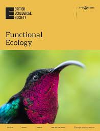 Image result for Xerophyta scabrida