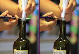 How To Build Wine Bottle Fruit Fly Traps Fruit Fly Trap Fruit Flies Wine Bottle