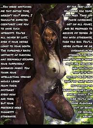 Yiffcaptions | Pictures | Scrolller NSFW