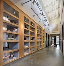 How To Build A Cat Condo For Animal Shelter Animals People Contact News Events Art Of Architecture Animal Animal Shelter Shelter Design Animal Shelter Design