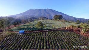 Selain Gunung Prau Pendakian Gunung Gede Pangrango Juga Ditutup Hingga Maret 2020