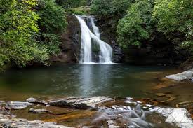 Maybe you would like to learn more about one of these? High Shoals Falls Trail Blue Hole Falls