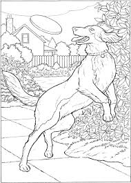 Among mandala coloring pages, animal coloring sheets and many other coloring book apps, you need to find the right one that will keep your attention. Best Coloring Books For Dog Lovers Cleverpedia