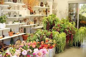 Old flower seed pack i found thrifting today. Downies Flowers Last Working Day Of The Year The Facebook