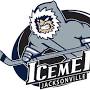 Jacksonville Icemen from en.wikipedia.org