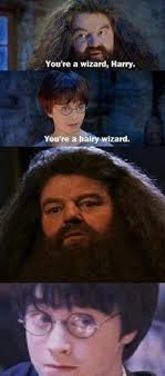 Funny harry potter lord of the rings similarities on imgfave. 100 Harry Potter Memes That Will Always Make You Laugh