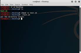 How To Check If A Directory Or A File Exists In System Or Not Using Shell  Scripting? - Geeksforgeeks