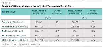 nutritional management of chronic kidney disease in cats