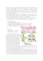아이는 발생 초기에는 정상이지만 중기이후 사망 (모계유전자 산물들이 분해되기때문에). ì›ì˜ˆìž'ë¬¼í•™13e ì‹ë¬¼ì˜ ì¤'ë³µìˆ˜ì •ì„ ì¢…ìží˜•ì„±ê³¼ ì—°ê´€ ì§€ì–´ ì„¤ëª…í•˜ë¼0k ì¤'ê°„ ê¸°ë§ê³¼ì œ