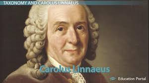 What Were The Limitations Of Carolus Linnaeus Taxonomy Schemes Study Com