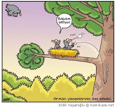 Orman haftası ile ilgili afişler, çizimler, panoya şiir. Komikaze Xde Posts Facebook