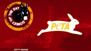 A soulful, but simple, take on nature and trauma. I Was A Simple Man Sundance Film Festival 2021 Gentnews