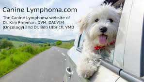 Some owners choose not to treat dogs that. Canine Lymphoma Life Expectancy Caninelymphoma Com