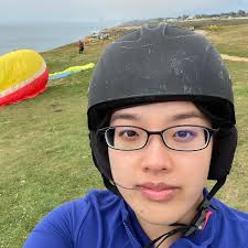 Developmental Intelligence Lab