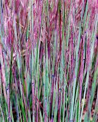 Pin On Handy Garden Plans Ideas