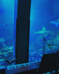 ※ 無くなり次第、販売終了とさせていただきます。 ※ 転写シールの取付方法は、商品に付属している説明書をお読みください。 極細繊維でできた特殊繊維が、汗を素早く吸収。 優れたドライ機能で汗のべたつきやムレを解消。 Z 0lt Bmzx8jm