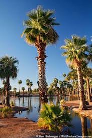 Maybe you would like to learn more about one of these? 150 Tempe Ideas Tempe Arizona Tempe Arizona