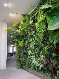 27 interior design plants inside house pictures. Plants For An Indoor Wall Houseplants For Indoor Vertical Gardens