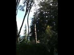 Search the marinetraffic ships database of more than 550000 active and decommissioned vessels. Craig Peterson Arborworks Profile Pinterest