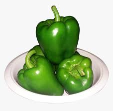 vegetables png shimla mirch casicum green capsicum shimla mirch transparent png transparent png image pngitem vegetables png shimla mirch casicum