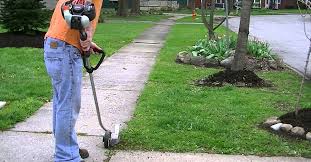Black Decker Le750 Electric Landscape Edger Blade Best Lawn Edger Of 2016 Best Lawn Edger Lawn Edger Lawn Edging