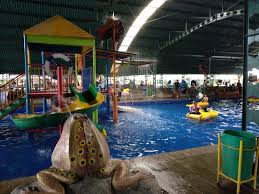 We did not find results for: Rumah Berbagi Cerita Taman Ria Suropati Tidak Hanya Berenang Tapi Juga Edukasi Mengenal Flora Fauna Dan Mencintai Alam Sekitar
