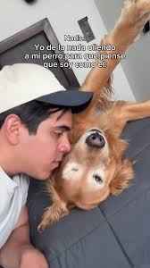 Perro Aspirador: Cuando tu perro se come todo