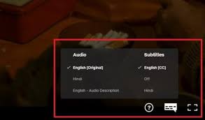 كيفية تغيير إعدادات لغة Netflix خالية من المتاعب