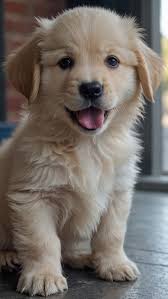 Pin by Carol Kenner Henry