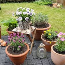 Guten Morgen Und Herzlich Willkommen An Alle Neuen Follower Da Wir Nicht Wirklich Blumenbeete Haben Im Garten Wandern Im Pflanzen Kubelpflanzen Gartenarbeit