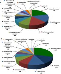 Biological Processes Depicting Genes That Are Altered In