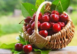 Ciliegie in gravidanza si possono mangiare. Il Diabetico Puo Mangiare Le Ciliegie Medicina Online