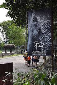 Lembang park and zoo adalah sebuah objek wisata yang memadukan berbagai macam tema wisata dalam satu kawasan. Zoo Negara Wikipedia Bahasa Melayu Ensiklopedia Bebas