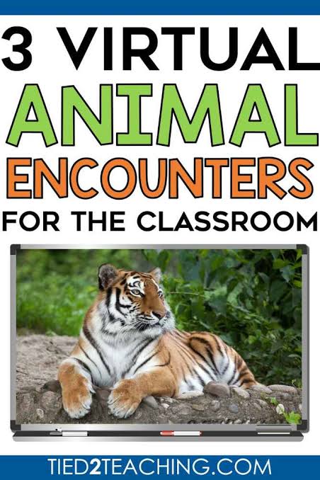 3 Free Virtual Animal Encounters for the Classroom