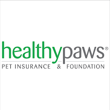 Best a+ rated company (2020); 7 Best Pet Insurance Companies 2020 The Strategist