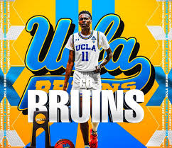 Arizona Wildcats Recruiting Targets Peyton Watson And Angelo Brizzi Commit Elsewhere Arizona Desert Swarm Every basketball skill needs to be taught with the correct progression, and customized for a player's level of development. arizona wildcats recruiting targets