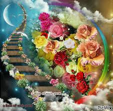 Buon compleanno anna immagine gif. 3586837 6e02a Gif 500 495 Auguri Di Compleanno Divertenti Fiori Romantici Collage Di Foto