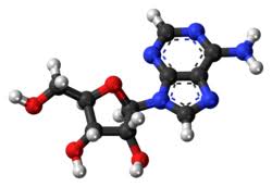 Image result for Adenosine