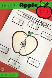 Parts Of An Apple Teach Me Mommy Apple Preschool Kindergarten Worksheets Preschool Worksheets